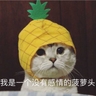 ouxiaofeng